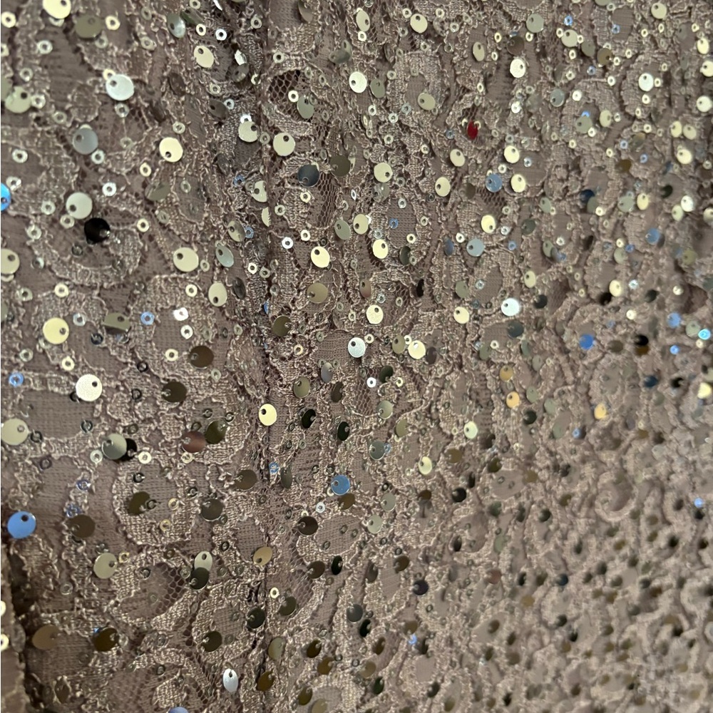 Alex Evenings Sequin Dress - Picture 4 of 8